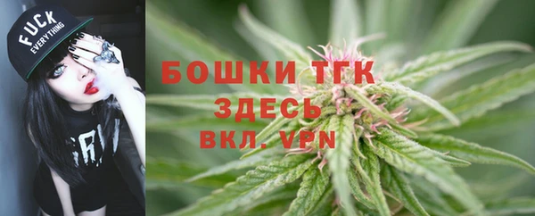 соль ск Ступино