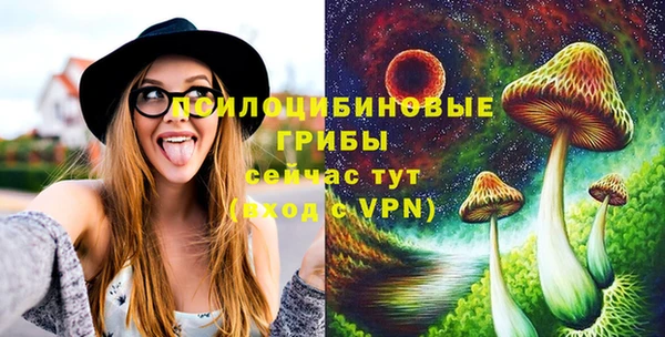 прущие грибы Баксан