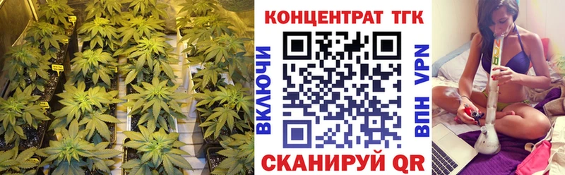 ТГК вейп блэк спрут ТОР Макарьев купить